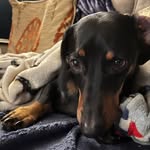 philip kendall - @philipkendall2411 - Instagram