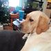 Philip Kenyon - Facebook