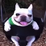 Phil Kessler - @feelgoodphil25 - Instagram