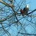 Philip Kidder - Facebook