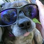 Philip Kidder - @kidderphilip - Instagram