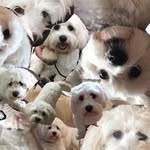 Philip Kingston - @philip.kingston.72 - Instagram