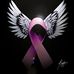 Phil Knutson - Facebook