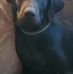 Philip Kramer - Facebook
