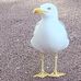 Kacper Filip - Facebook