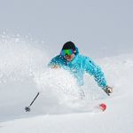 Philippe Lahey - @philippe_lahey - Instagram
