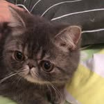 Philip Lai - @philip_dp2 - Instagram