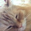 Phillip Lavin - @0184630 - TikTok
