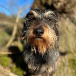 Philip Lehmann - @lehmann_philip - Instagram