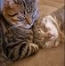 Philip Leone - Facebook