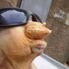 philipleones - @philipleones - TikTok