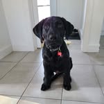 Jean-Philip Lévesque - @jeanphiliplevesque - Instagram