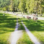 philip mair - @philip123412 - Instagram