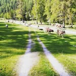 philip mair - @phil.ip123412 - Instagram