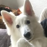 Philip Majewski - @philip_majewski - Instagram