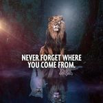 Philip Malik - @philip_malik_99 - Instagram