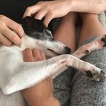 Philip Mallari - @p_m_a_l_l_a_r_i - Instagram