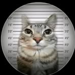 Filip Mandok - Facebook