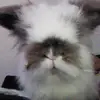 Philip Marks - @philip.marks1 - TikTok