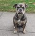 Philip Mayo - Facebook