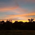 i_know_he_will - @mcalister.philip - Instagram