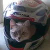 Philip Mcalister - @user4500734273270 - TikTok