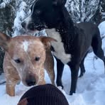 Phillip Mcgee - Facebook