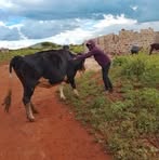 Philiph Mkuu - Facebook