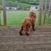 Philip Mckibbin - Facebook