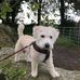 Philip Mcneill - Facebook