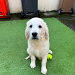 Philip Meagher - @pmmeagher - Instagram