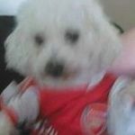 Philip Mills - @philipmills123456 - Instagram
