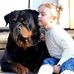 Philip puppy mills - Facebook