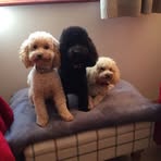 Philip Moir - Facebook