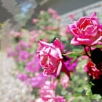 Phillip Moorehead - Facebook