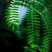Philip Mortensen - Facebook