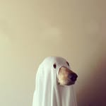 Philip Nees - @philipnees - Instagram