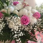 philipnew - @philipnew1 - Instagram
