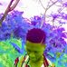 Philip Nice - Facebook