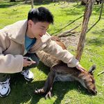 Philip Nicholas Lim - @pewpewlip - Instagram