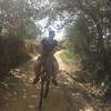 Philip Nussbaum - @i.be.bangin - TikTok