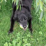 philip ogden - @philipogden23 - Instagram