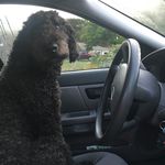 Philip Patten - @joey_garlic - Instagram