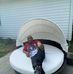Petrone Philip - Facebook