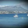 philippepetronell - @philippepetronell - TikTok