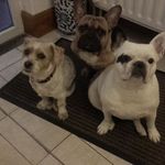 Philippe Piazzalunga - @philippepiazzalunga - Instagram