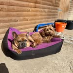 Philip Pickard - @philip.pickard - Instagram