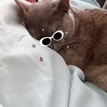 Philip Piercy - @piercyphilip2 - Instagram