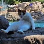 Philip Quach - Facebook