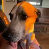 phil.raby - @phil.raby - TikTok